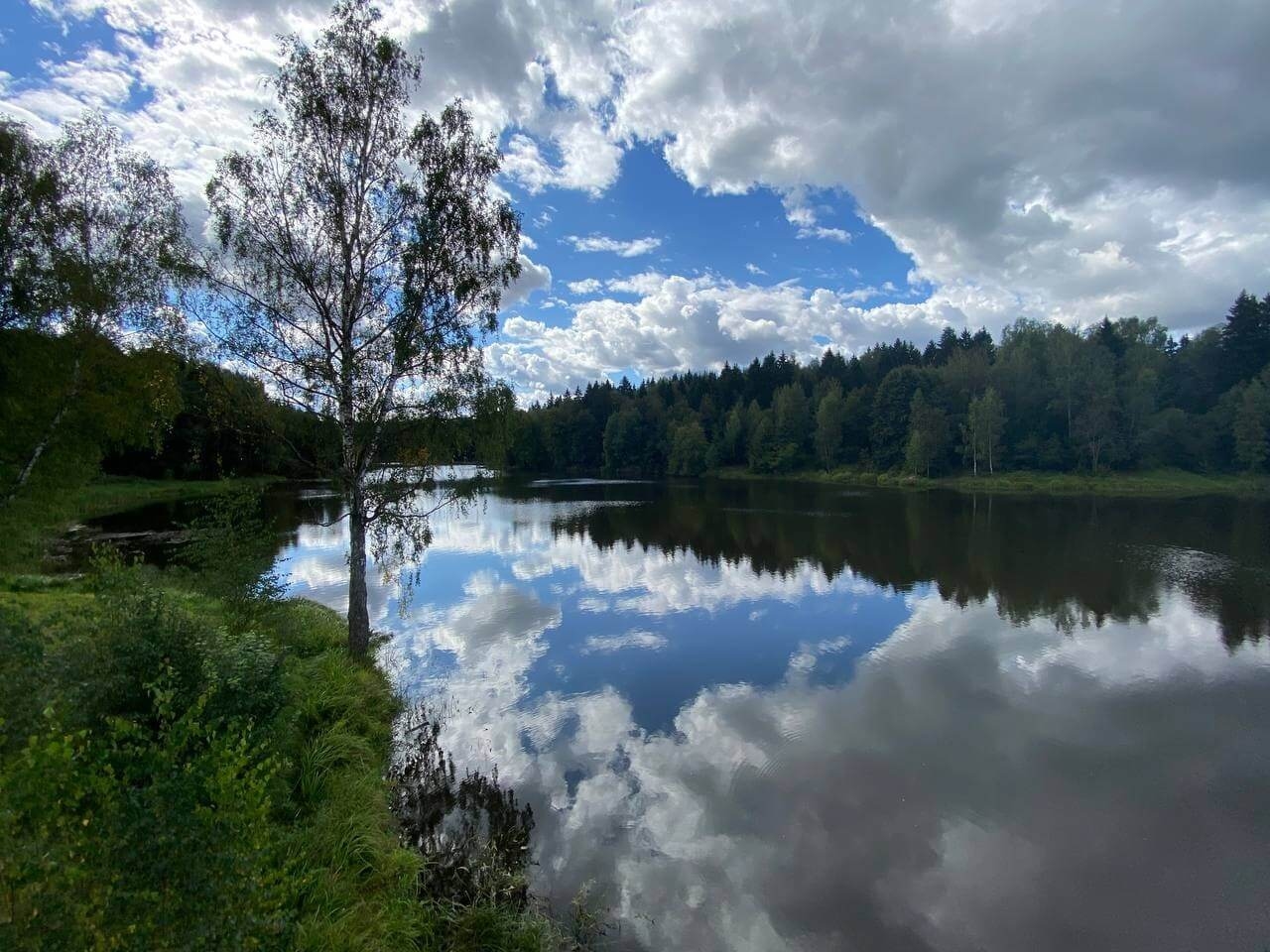 Фото отзыва